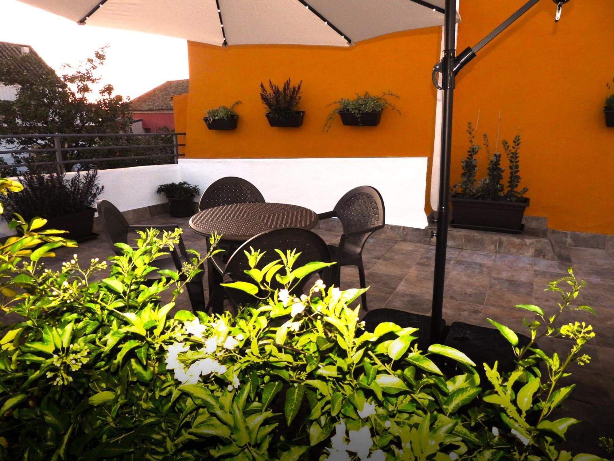 Apartment Consistorio Live *